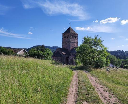 Chez Gigi Et Malou - Gite Brimbelle Champ-le-Duc エクステリア 写真